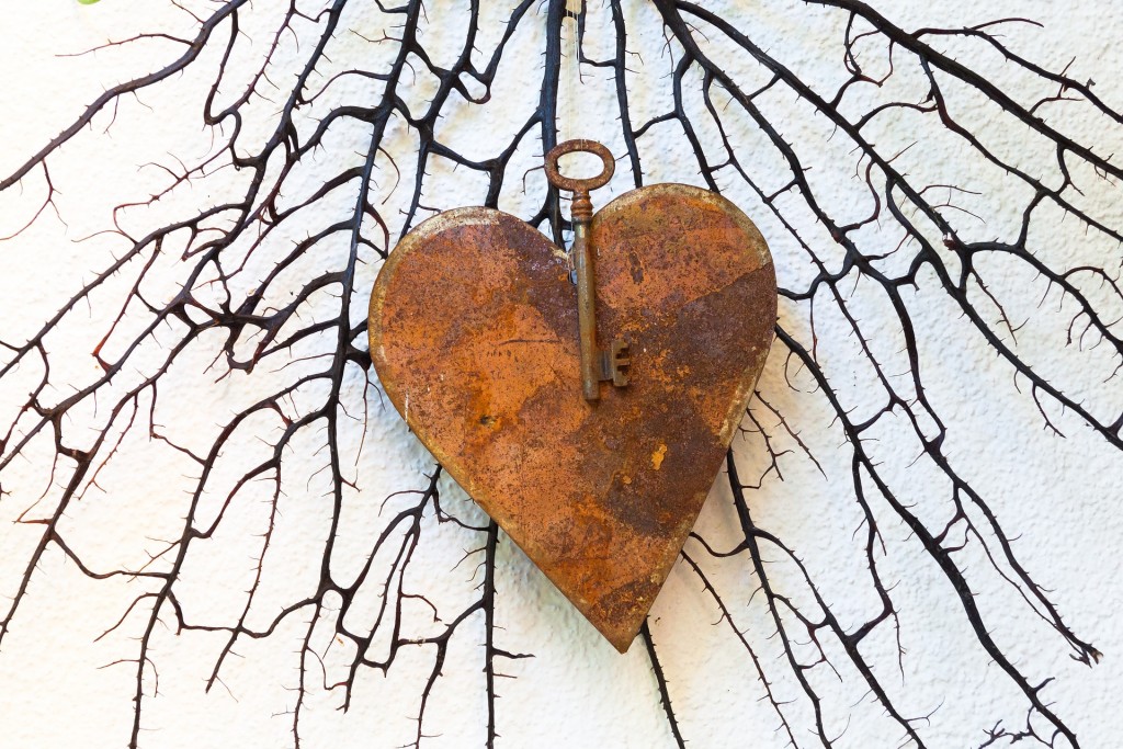 Corazones abiertos/ Cors oberts 3 corazon